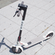 Illustration for article titled Will E-Scooters Be a Disaster For New York City?